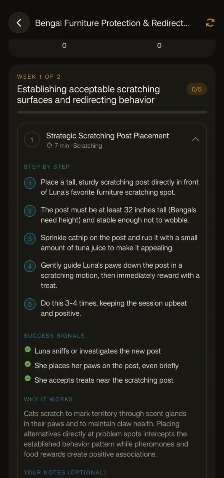 Step-by-step coaching with success signals