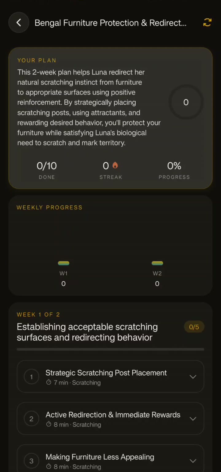Personalized two-week plan